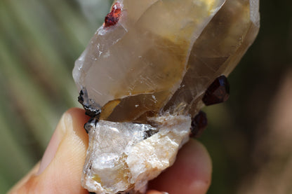 Spessartine Garnets on Quartz w/ Schorl