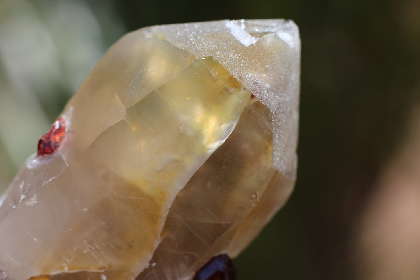 Spessartine Garnets on Quartz w/ Schorl