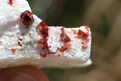 Spessartine Garnet on Feldspar