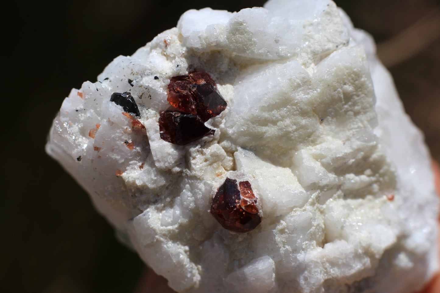 Spessartine Garnets on Quartz w/ Aquamarine, Mica, Feldspar and Schorl