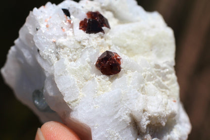 Spessartine Garnets on Quartz w/ Aquamarine, Mica, Feldspar and Schorl