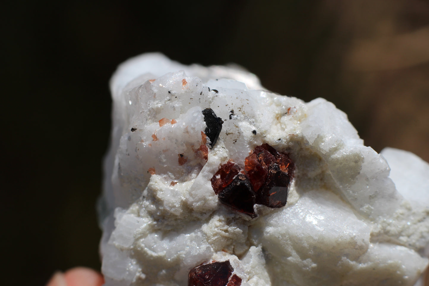 Spessartine Garnets on Quartz w/ Aquamarine, Mica, Feldspar and Schorl