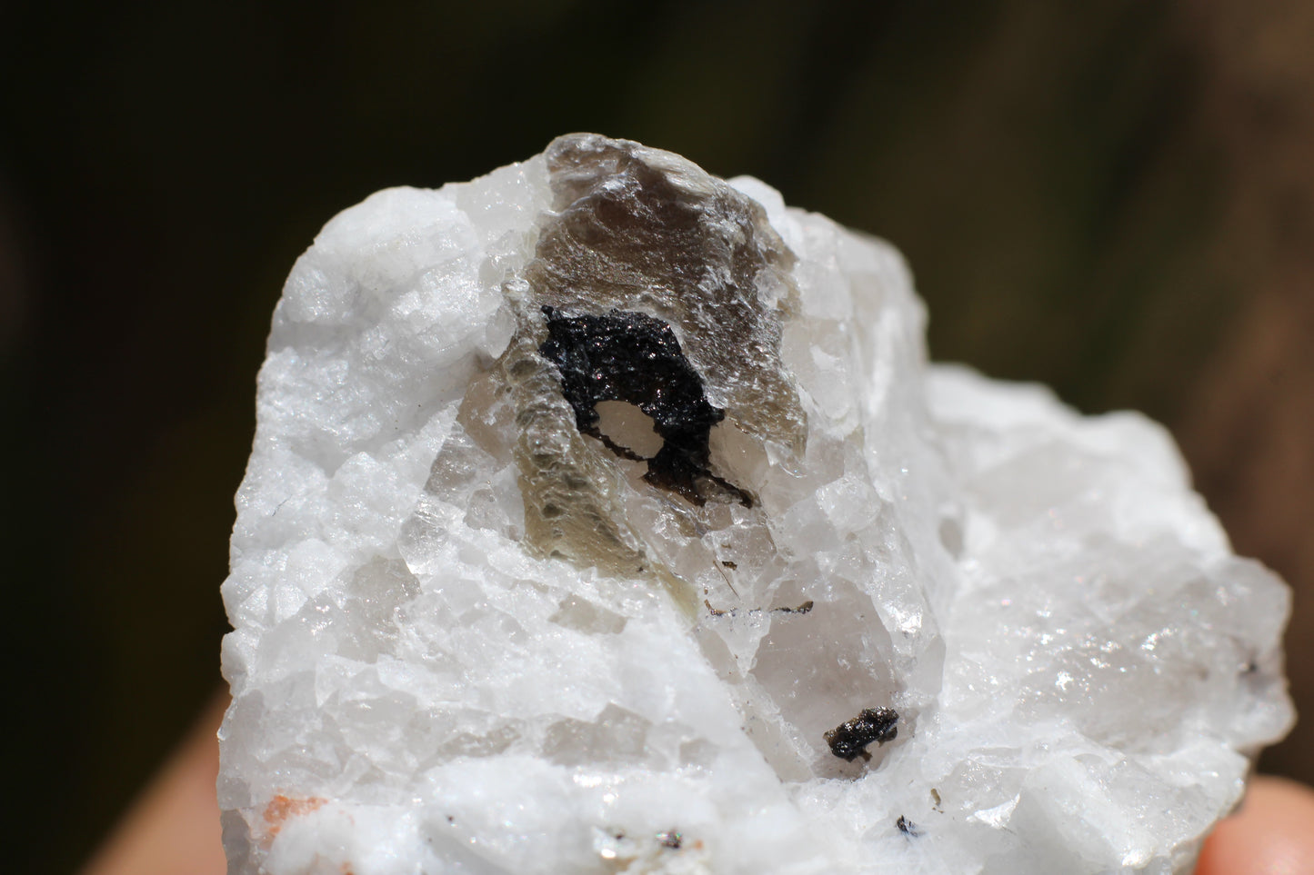 Spessartine Garnets on Quartz w/ Aquamarine, Mica, Feldspar and Schorl