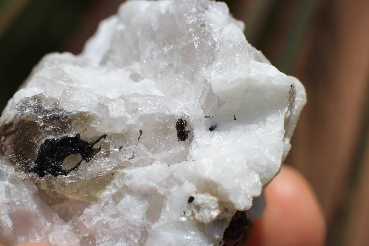 Spessartine Garnets on Quartz w/ Aquamarine, Mica, Feldspar and Schorl