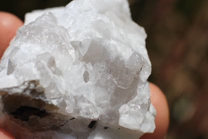 Spessartine Garnets on Quartz w/ Aquamarine, Mica, Feldspar and Schorl