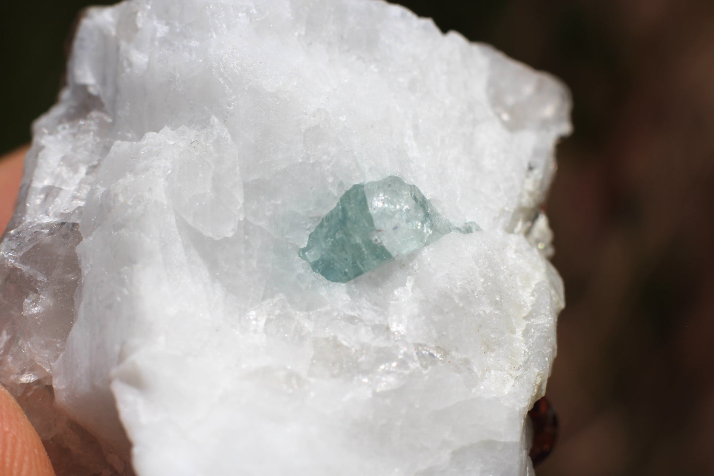 Spessartine Garnets on Quartz w/ Aquamarine, Mica, Feldspar and Schorl