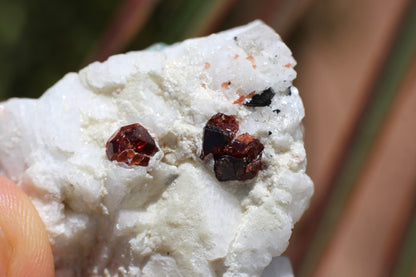 Spessartine Garnets on Quartz w/ Aquamarine, Mica, Feldspar and Schorl