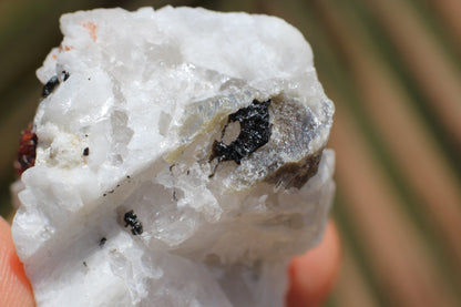 Spessartine Garnets on Quartz w/ Aquamarine, Mica, Feldspar and Schorl