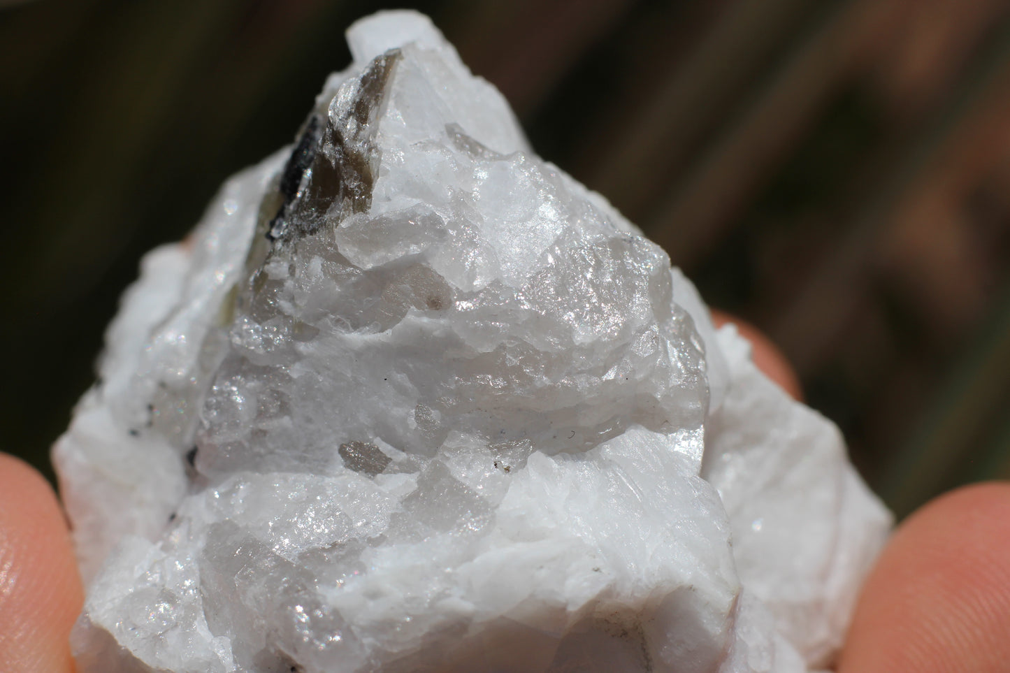 Spessartine Garnets on Quartz w/ Aquamarine, Mica, Feldspar and Schorl