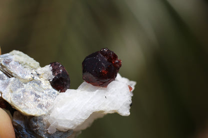 Spessartine Garnet on Feldspar w/ Mica