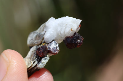 Spessartine Garnet on Feldspar w/ Mica