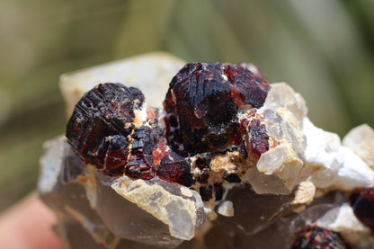 Etched Spessartine Garnet on Quartz w/ Schorl