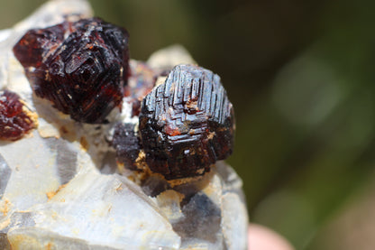 Etched Spessartine Garnet on Quartz w/ Schorl