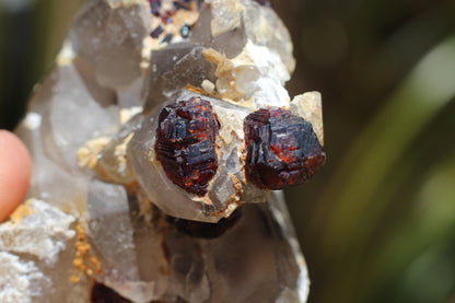 Etched Spessartine Garnet on Quartz w/ Schorl