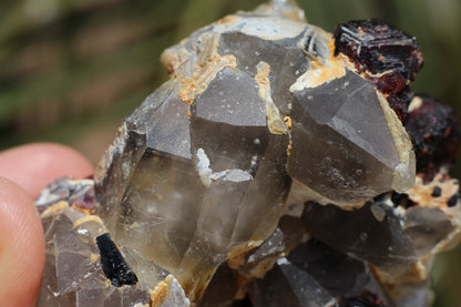 Etched Spessartine Garnet on Quartz w/ Schorl