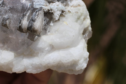 Spessartine Garnets on Quartz w/ Mica, Feldspar and Schorl