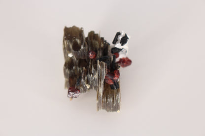 Spessartine Garnets on Mica w/ Feldspar and Schorl