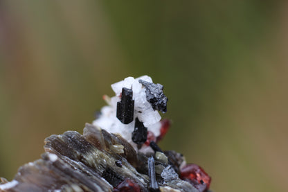 Spessartine Garnets on Mica w/ Feldspar and Schorl