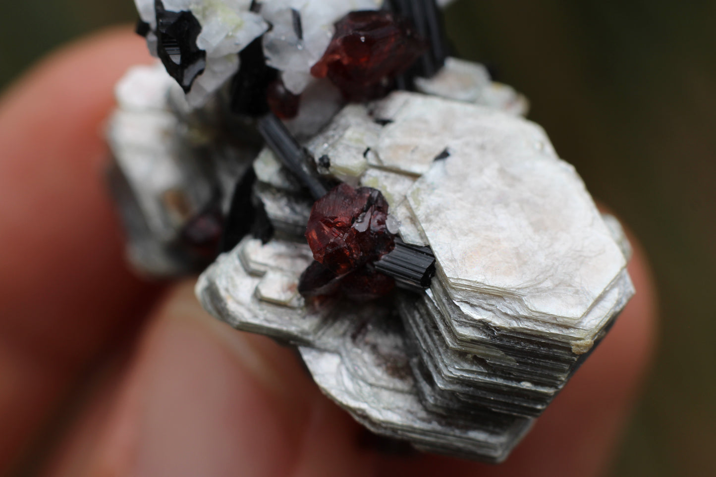 Spessartine Garnets on Mica w/ Feldspar and Schorl