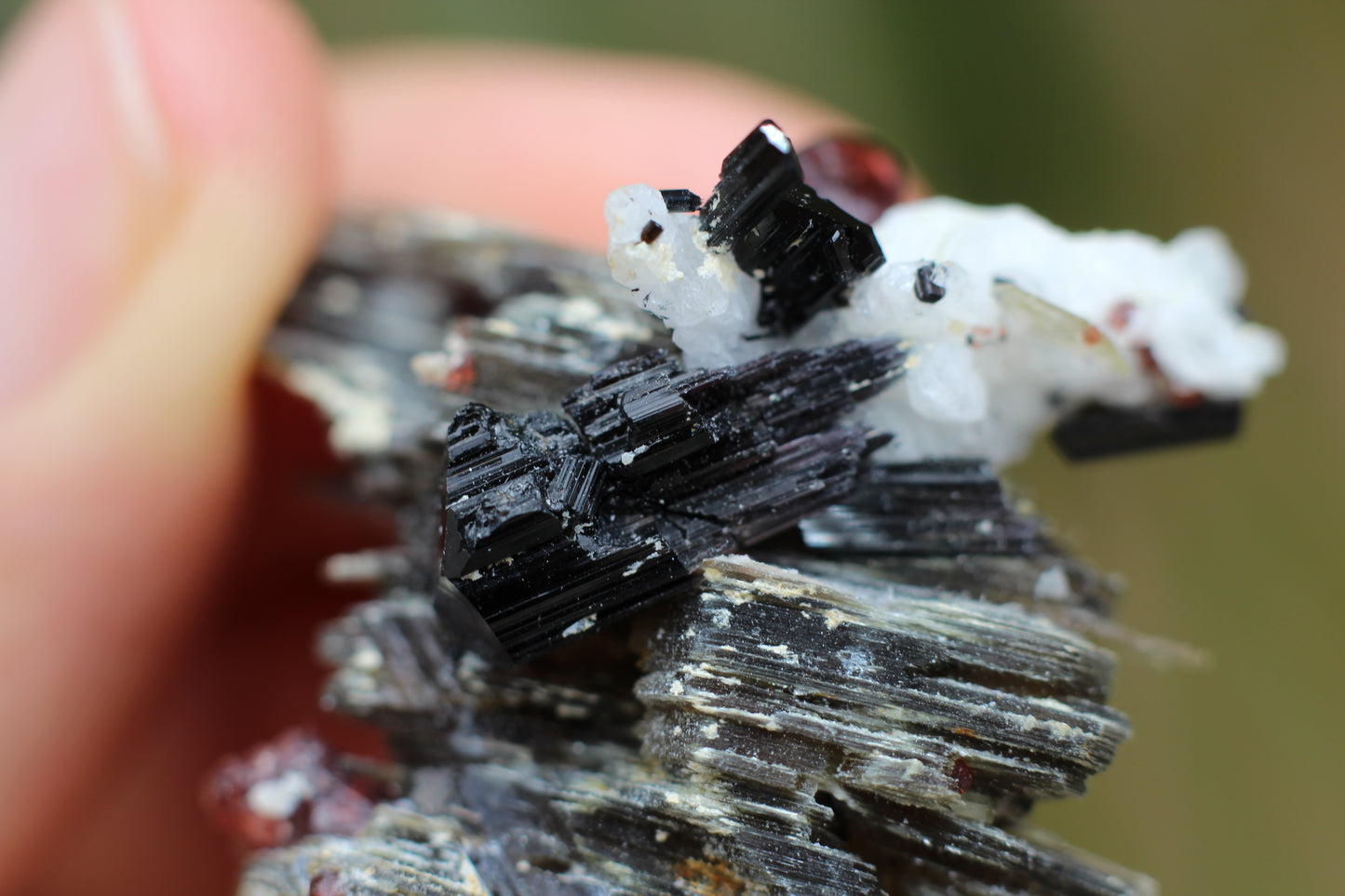 Spessartine Garnets on Mica w/ Feldspar and Schorl