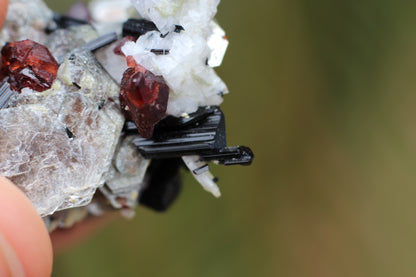 Spessartine Garnets on Mica w/ Feldspar and Schorl