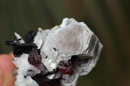 Spessartine Garnets on Mica w/ Feldspar and Schorl