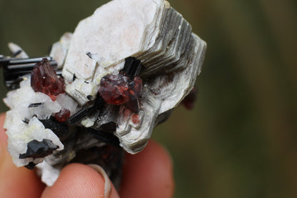 Spessartine Garnets on Mica w/ Feldspar and Schorl