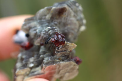 Spessartine Garnets on Mica w/ Feldspar and Schorl