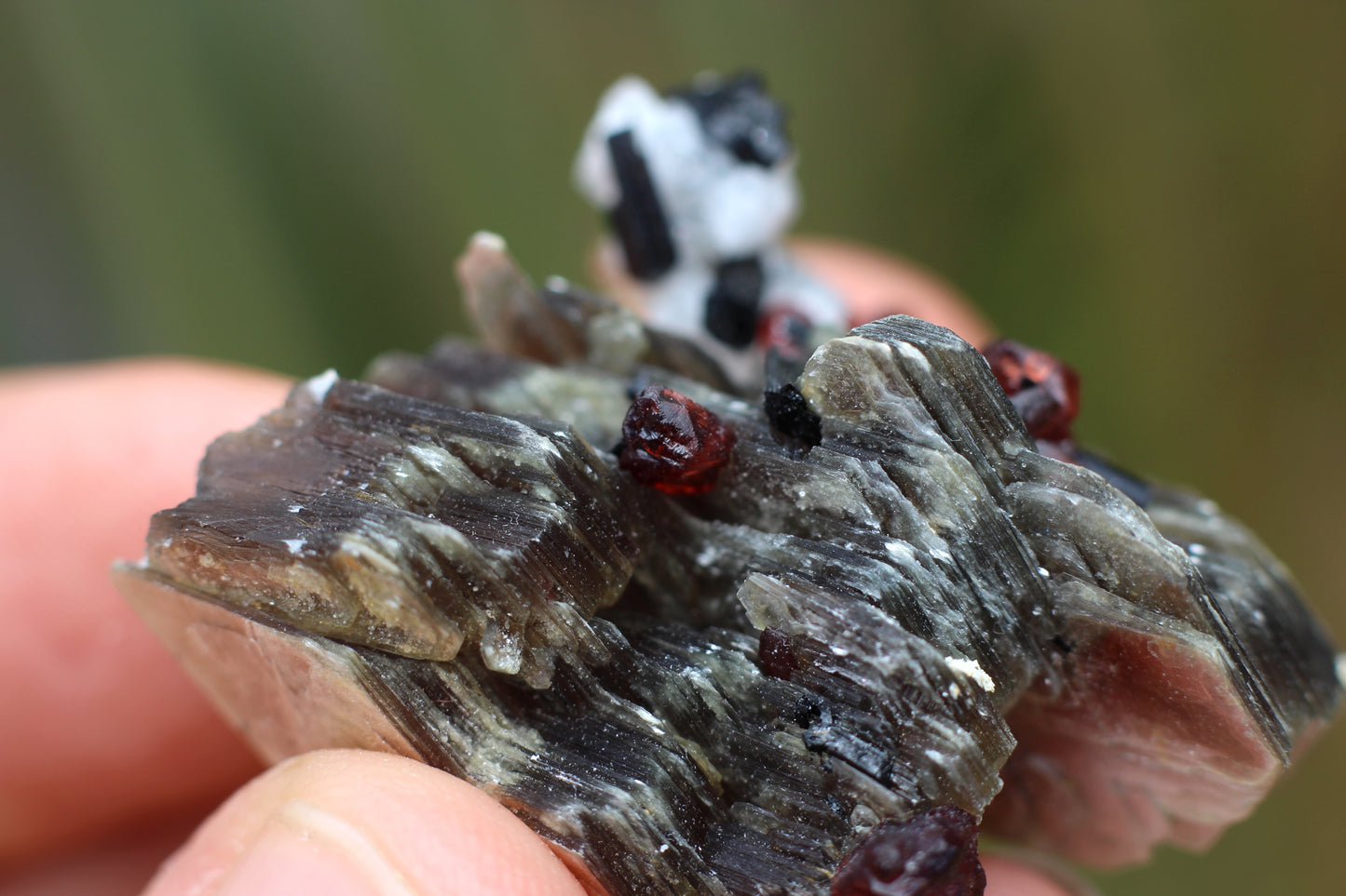 Spessartine Garnets on Mica w/ Feldspar and Schorl