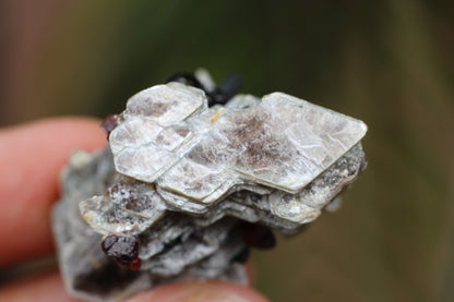 Spessartine Garnets on Mica w/ Feldspar and Schorl