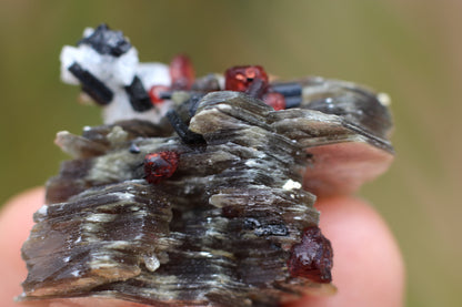 Spessartine Garnets on Mica w/ Feldspar and Schorl