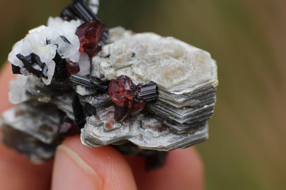 Spessartine Garnets on Mica w/ Feldspar and Schorl