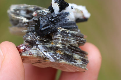 Spessartine Garnets on Mica w/ Feldspar and Schorl