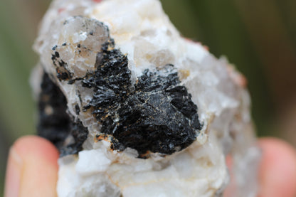 Spessartine Garnets on Quartz w/ Mica, Feldspar and Schorl