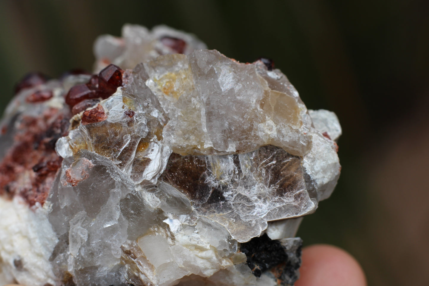 Spessartine Garnets on Quartz w/ Mica, Feldspar and Schorl