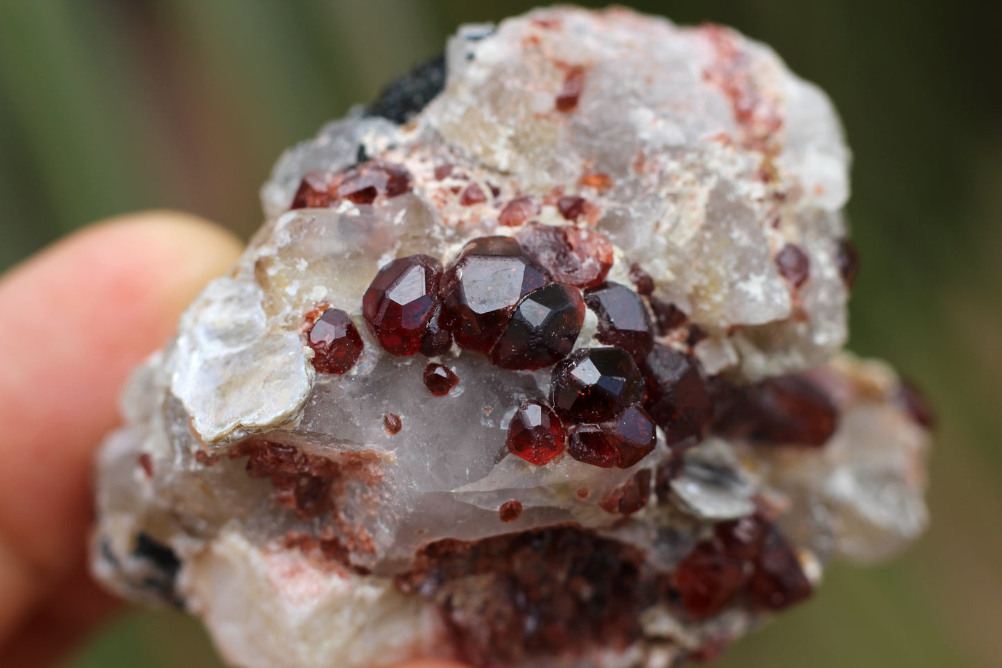 Spessartine Garnets on Quartz w/ Mica, Feldspar and Schorl