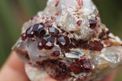 Spessartine Garnets on Quartz w/ Mica, Feldspar and Schorl