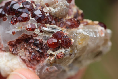 Spessartine Garnets on Quartz w/ Mica, Feldspar and Schorl