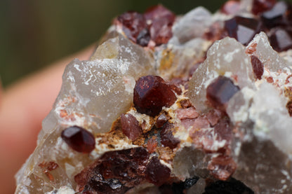 Spessartine Garnets on Quartz w/ Mica, Feldspar and Schorl