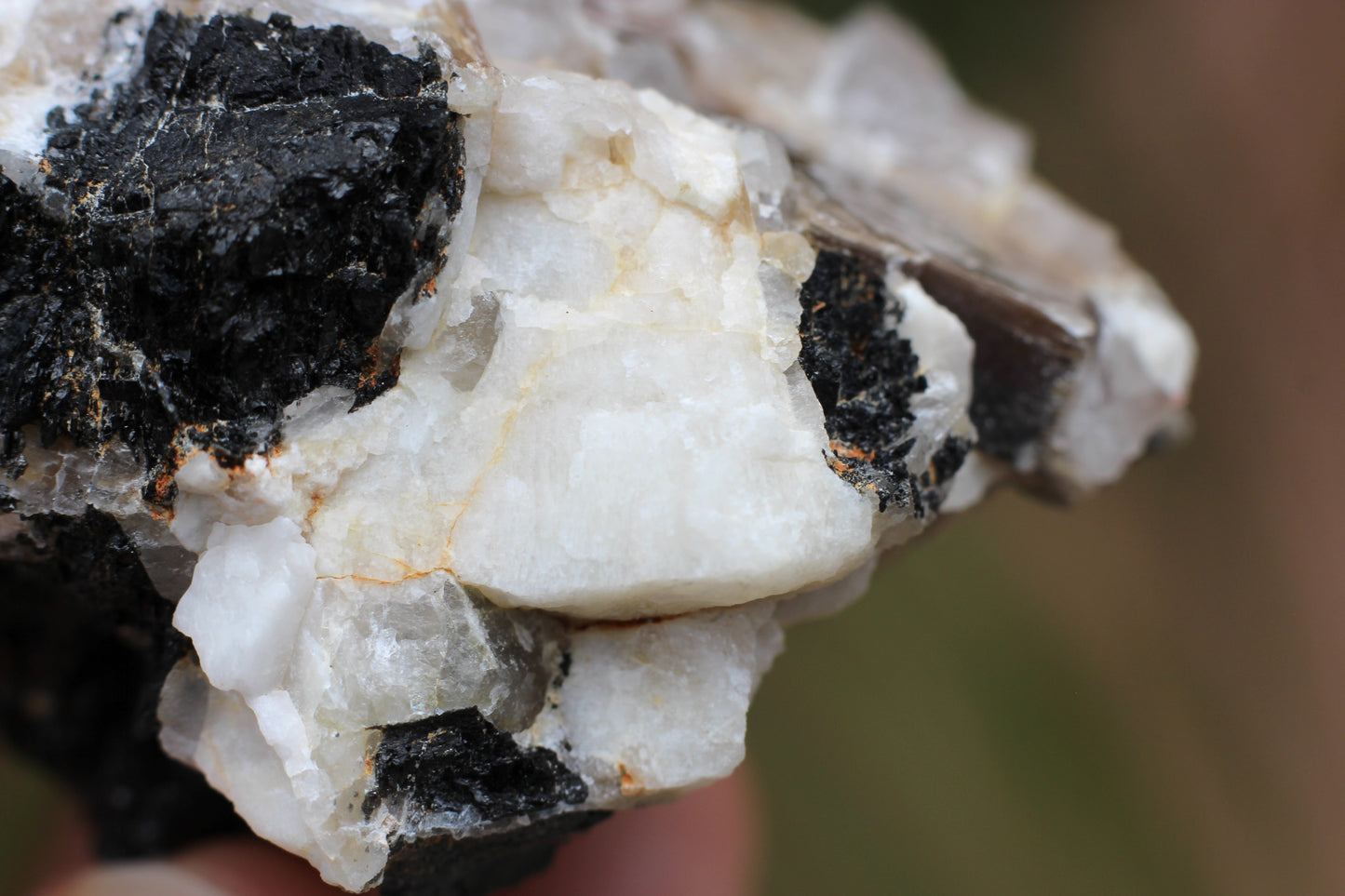 Spessartine Garnets on Quartz w/ Mica, Feldspar and Schorl