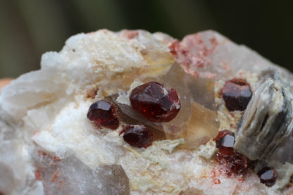 Spessartine Garnets on Quartz w/ Mica and Feldspar