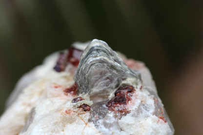 Spessartine Garnets on Quartz w/ Mica and Feldspar