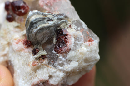 Spessartine Garnets on Quartz w/ Mica and Feldspar