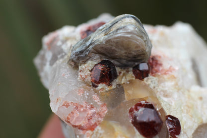 Spessartine Garnets on Quartz w/ Mica and Feldspar