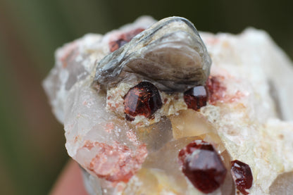 Spessartine Garnets on Quartz w/ Mica and Feldspar