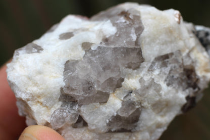 Spessartine Garnets on Quartz w/ Mica and Feldspar