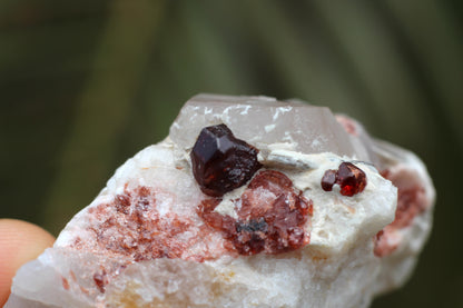 Spessartine Garnets on Quartz w/ Feldspar and Schorl