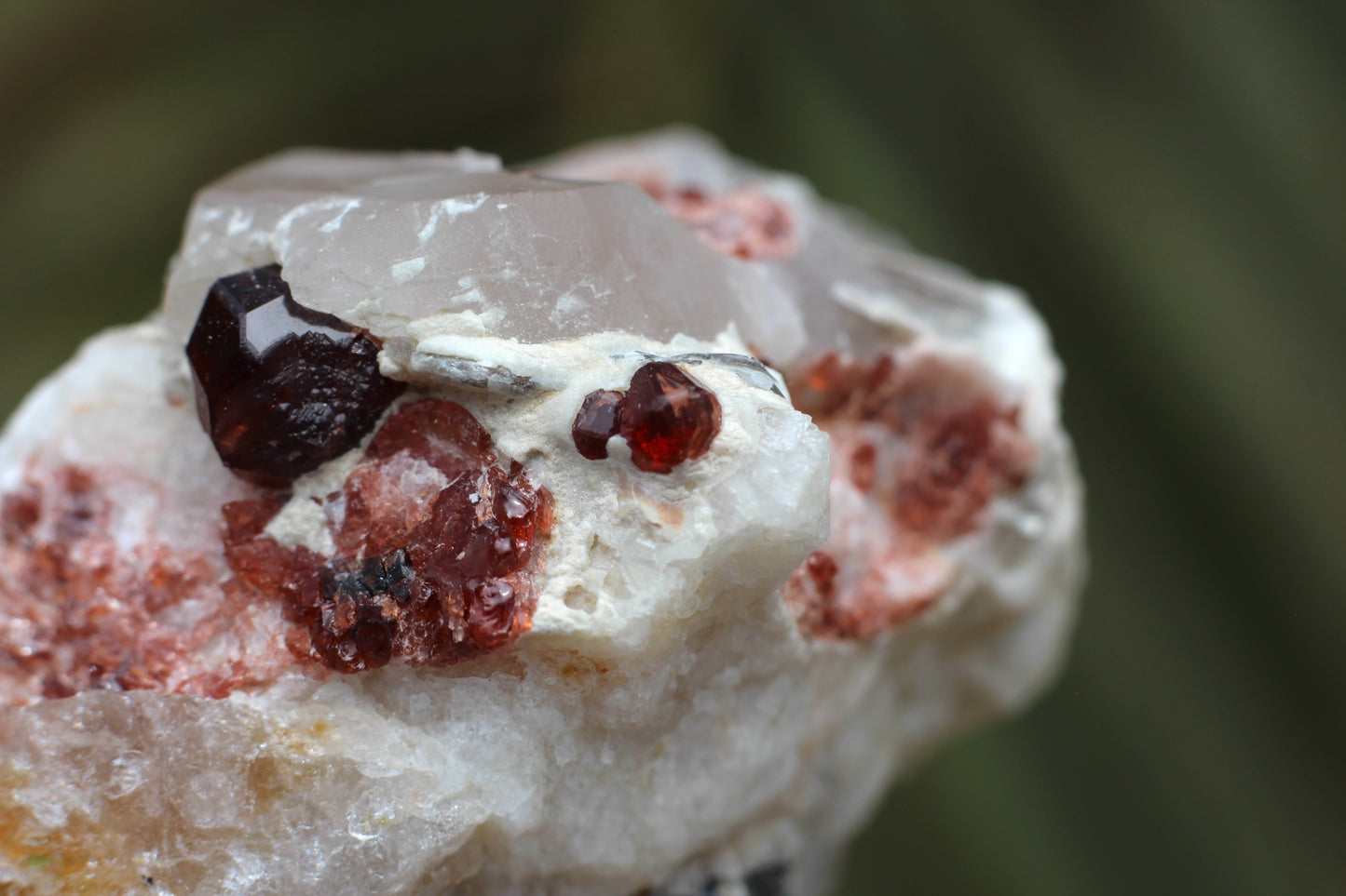 Spessartine Garnets on Quartz w/ Feldspar and Schorl