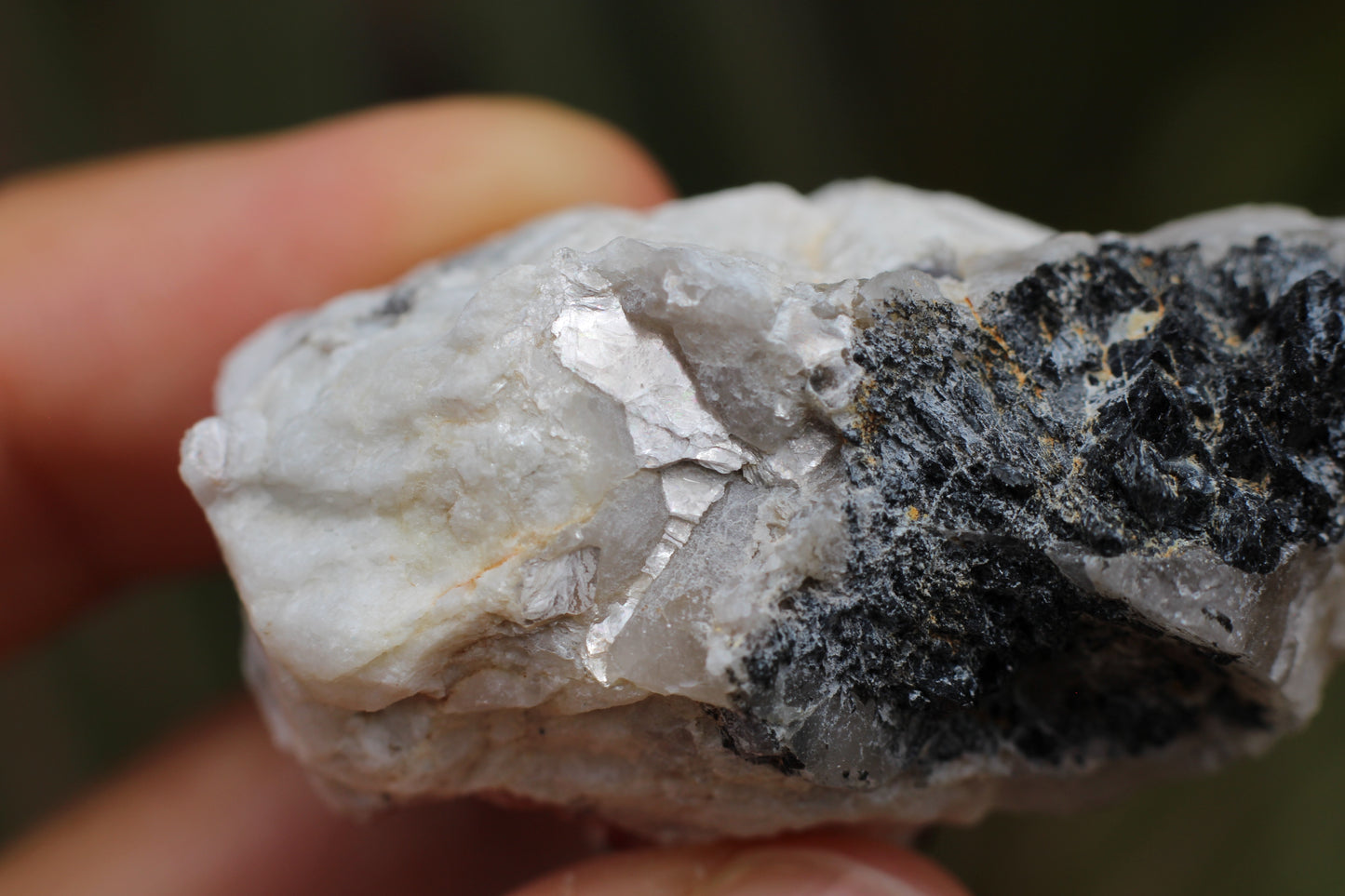 Spessartine Garnets on Quartz w/ Feldspar and Schorl