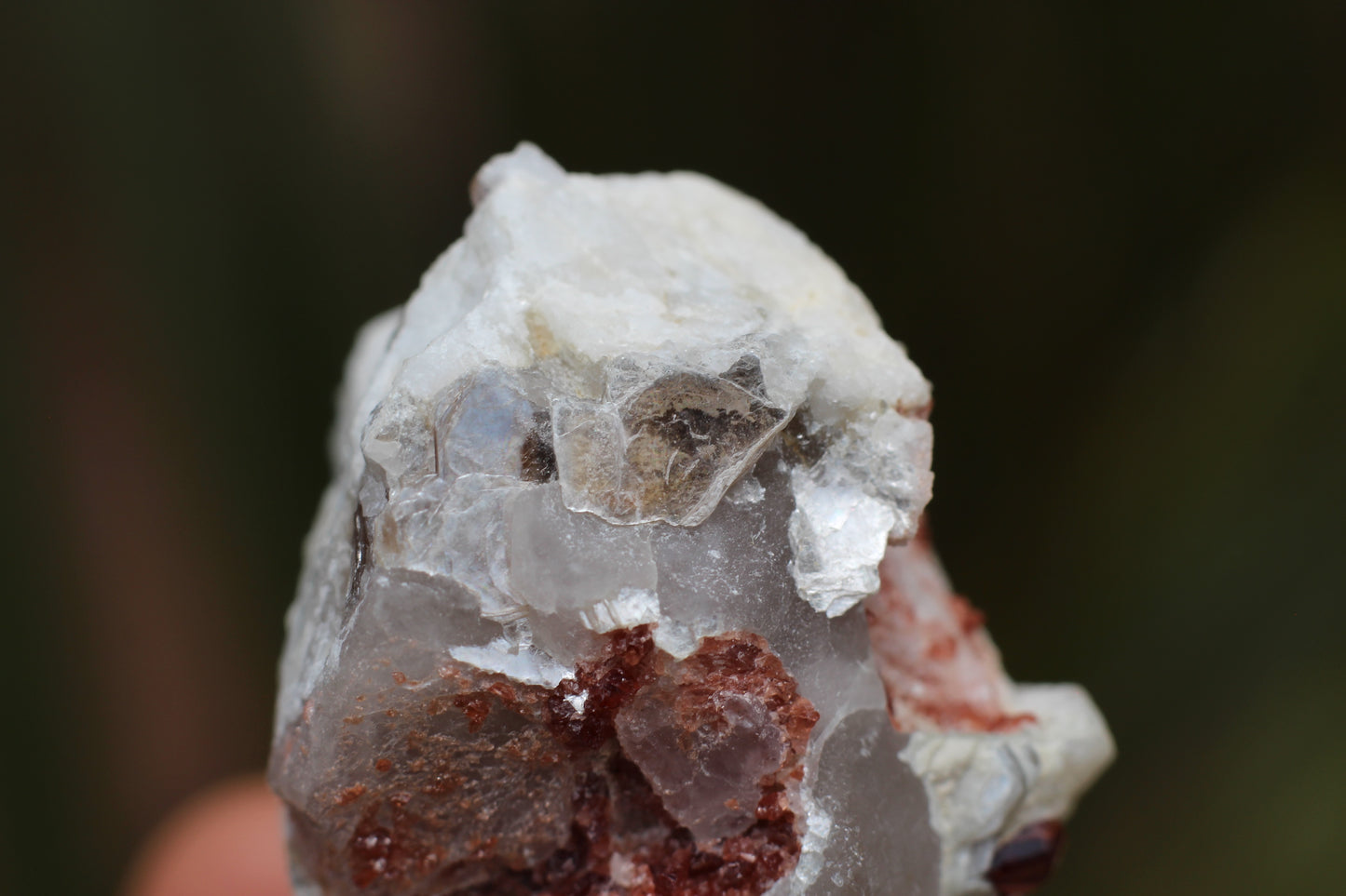 Spessartine Garnets on Quartz w/ Feldspar and Schorl